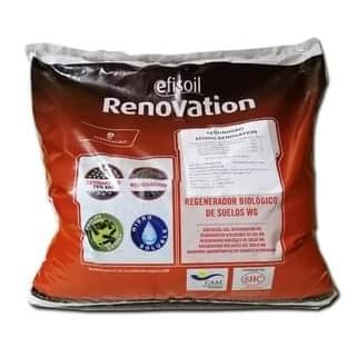 Efisoil Renovation