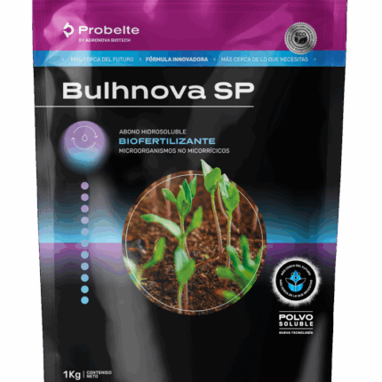 Bulhnova SP
