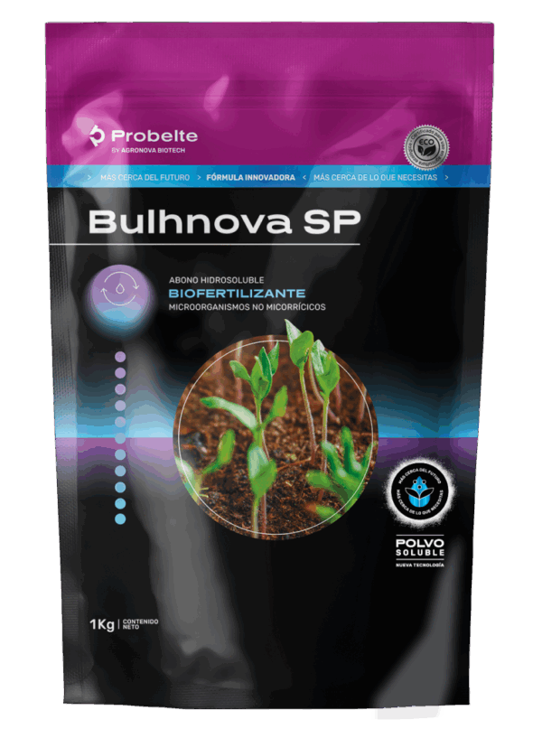 Bulhnova SP