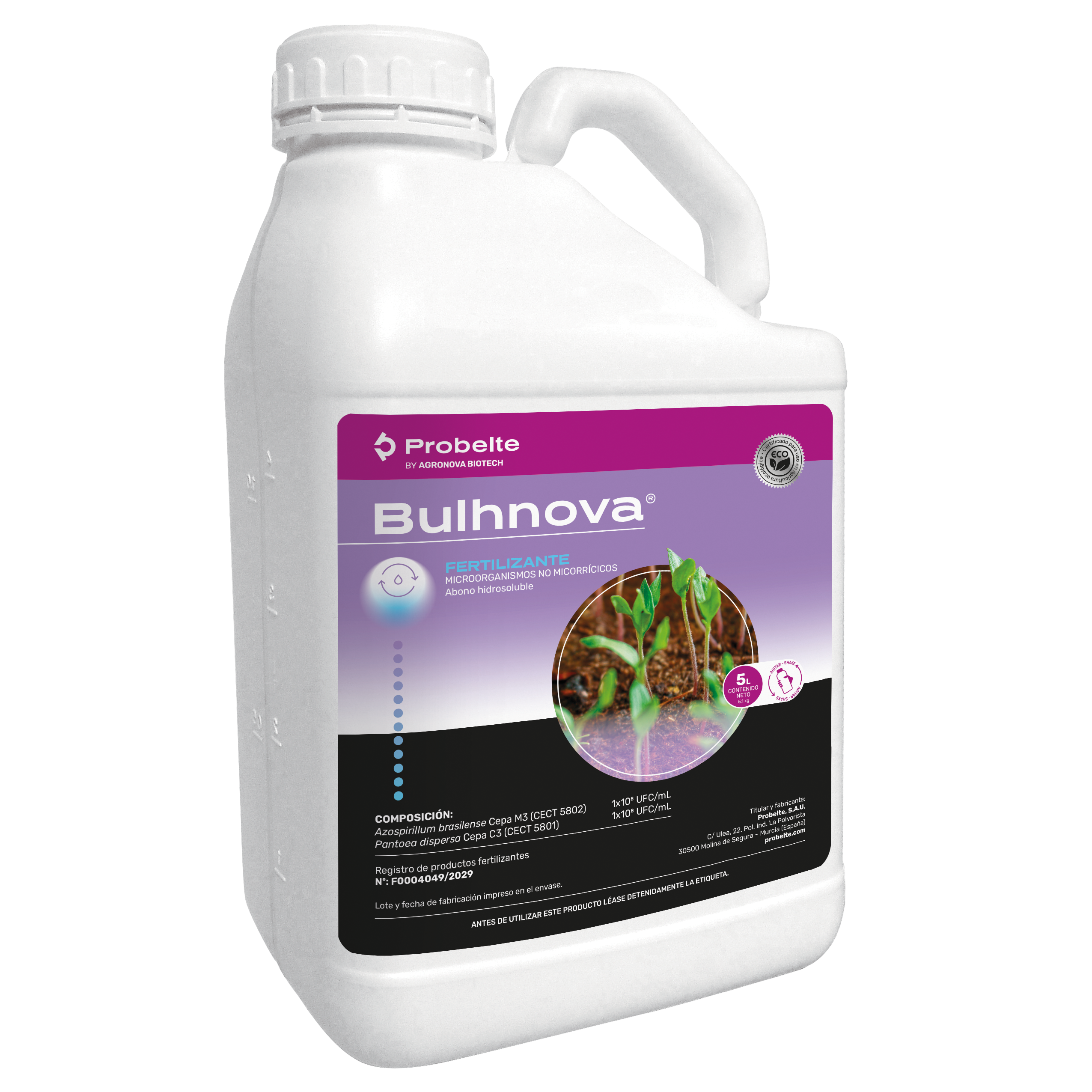 Bulhnova