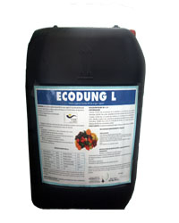 Ecodung L